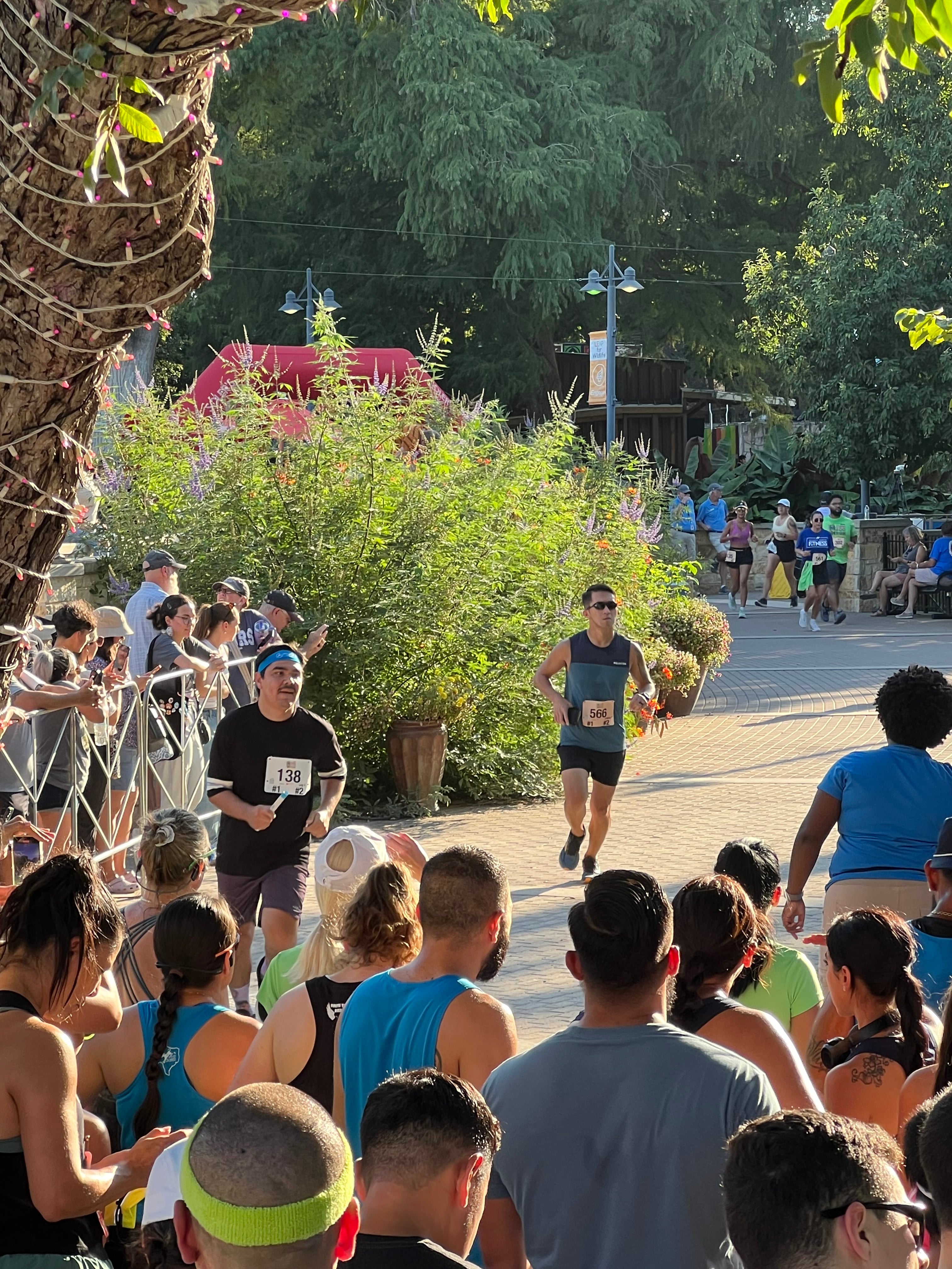 San Antonio 39th Annual Zoo Run 2024 - Mercedes-Benz of Selma