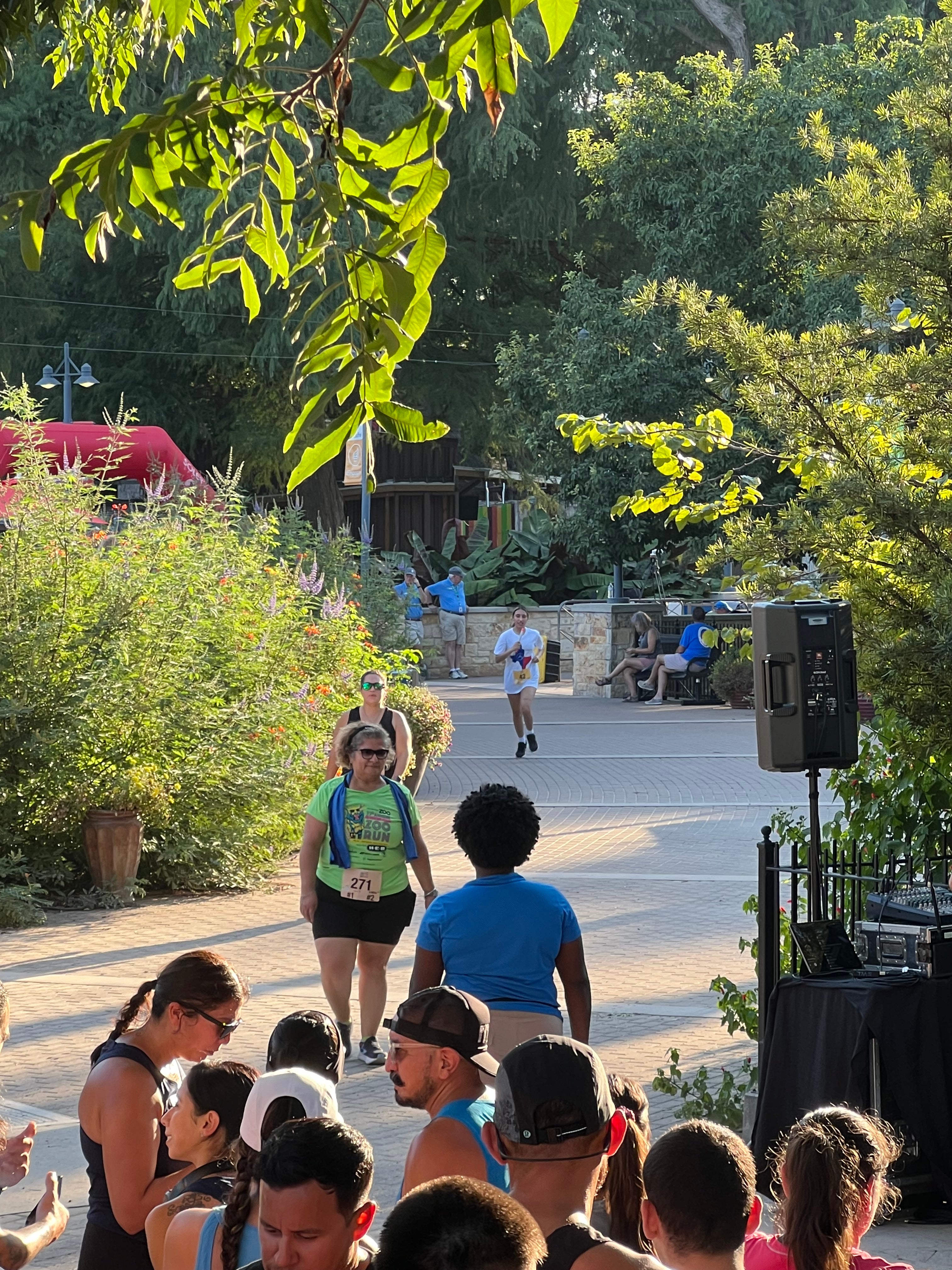 San Antonio 39th Annual Zoo Run 2024 - Mercedes-Benz of Selma